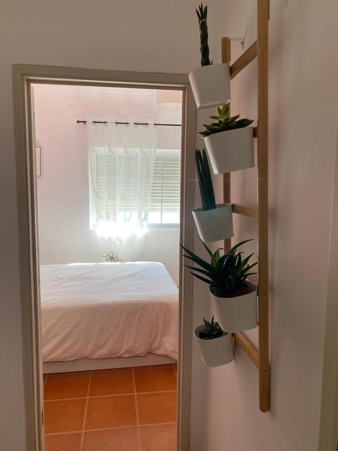 Apartamento Vicentino Vila Nova de Milfontes Dış mekan fotoğraf