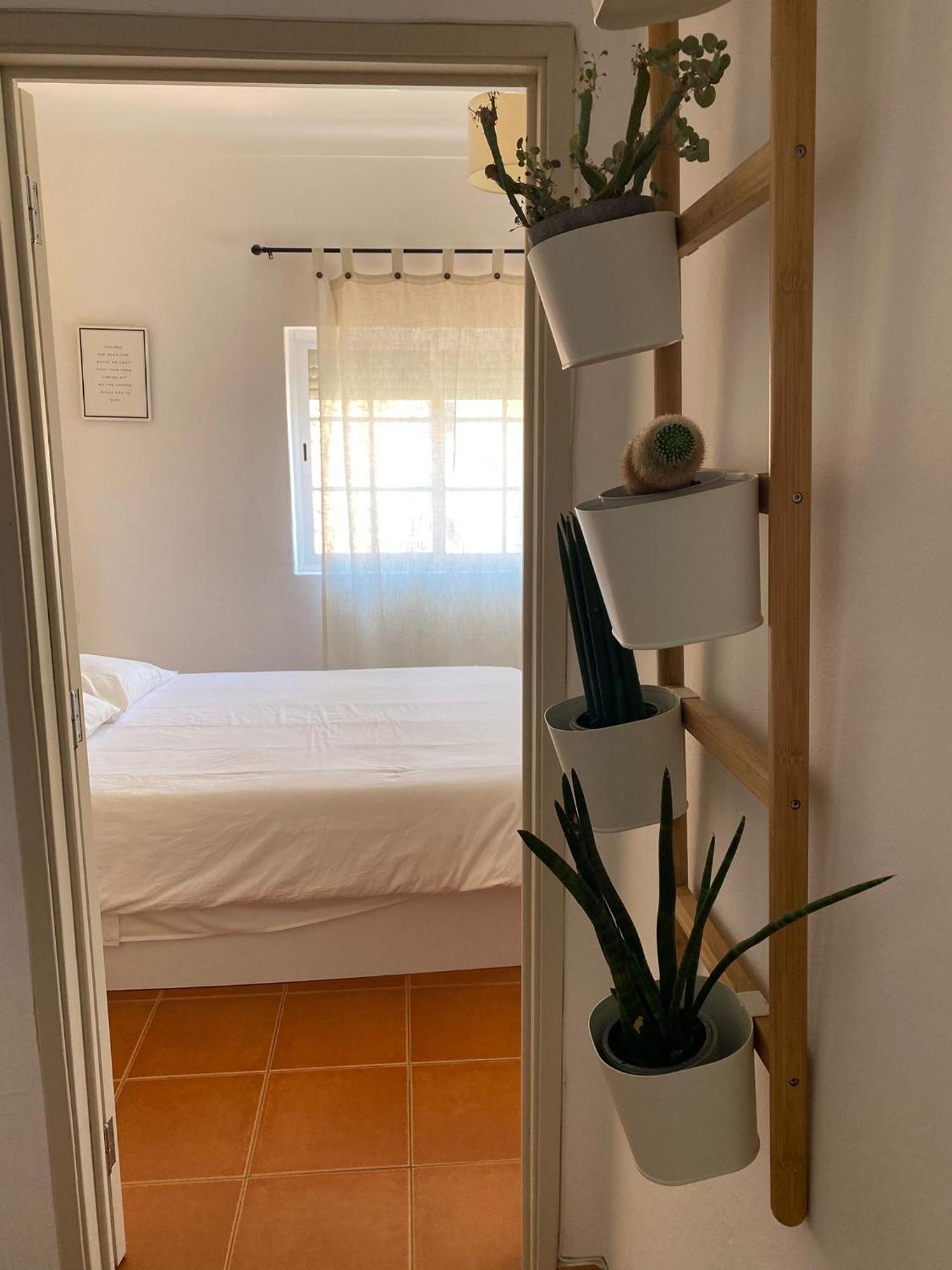 Apartamento Vicentino Vila Nova de Milfontes Dış mekan fotoğraf